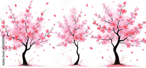 Three beautiful cherry blossom trees with pink flowers and falling petals