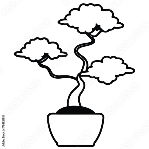 Potted bonsai tree with cloud-like foliage