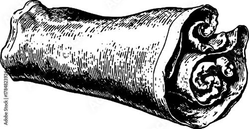 Vintage scroll illustration in black and white line drawing style. Detailed engraving art with an outline design. Vector illustration.