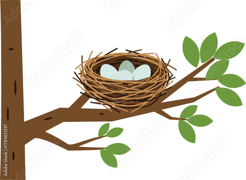 Bird nest with eggs on tree branch, spring nature scene, wildlife reproduction concept, natural habitat illustration, outdoor seasonal cartoon vector art