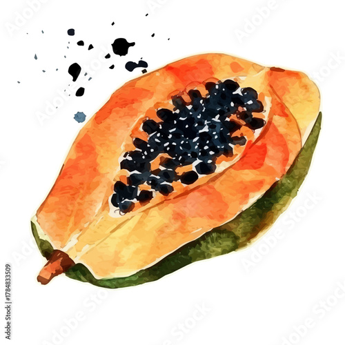 Vector illustration set, eps format, My Watercolor illustration, sliced green papaya in flight Set painting isolated on a white background, EPS painting design