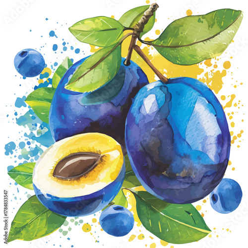 Vector illustration set, eps format, My Watercolor illustration, sliced hog plum Set painting isolated on a white background, EPS painting design