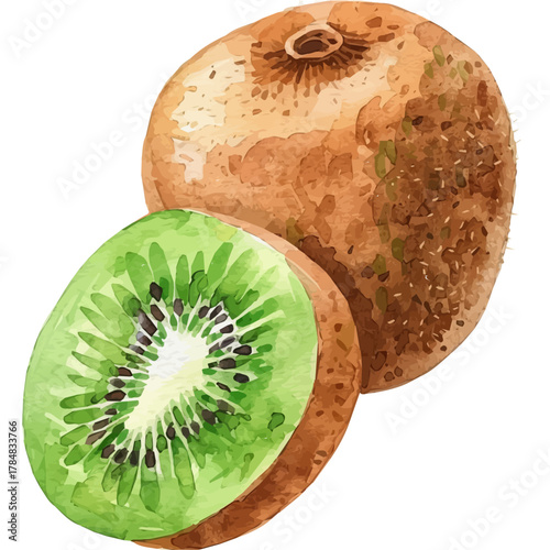 Vector illustration set, eps format, My Watercolor illustration, sliced kiwi painting isolated on a white background, EPS painting design
