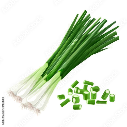 Vector illustration set, eps format, My Watercolor illustration, sliced leek painting isolated on a white background, EPS painting design