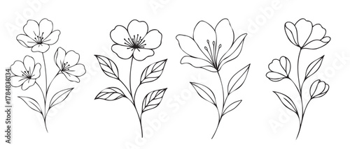 Four flowers are drawn in black and white. The flowers are all different sizes and are arranged in a row. The flowers are all facing the same direction, and they are all very similar in appearance