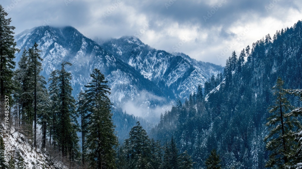 Obraz premium Snowy mountain range with evergreen forest