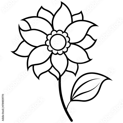 vector illustration of a flower