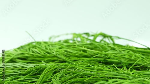 Fried Cha-Om in hot oil on pan, cooking the Climbing Wattle fried egg.