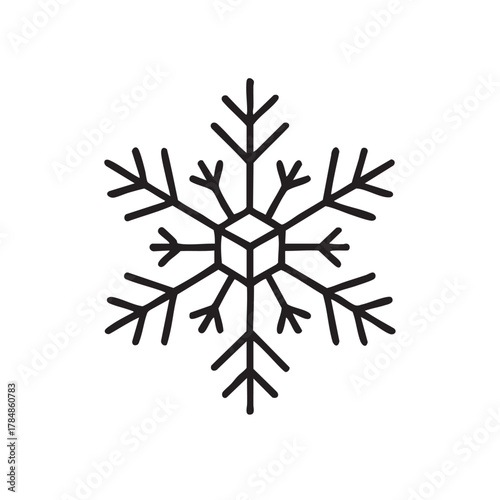 a delicate snowflake design with intricate patterns and symmetrical branches forming a beautiful winter motif
