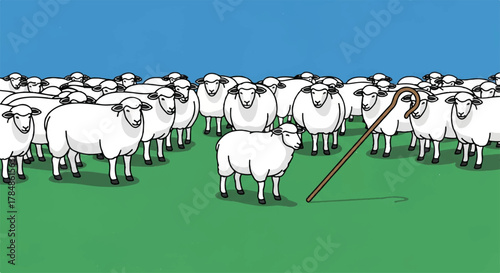 A single sheep standing out from the flock with a shepherd's crook. Leadership and individuality concept. Simple cartoon vector illustration
