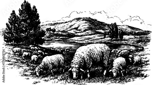 Sheep set grazing on grass in a rural landscape with hills, trees, and lake. Vintage engraving style vector illustration.