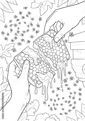 hands holding honeycombs with honey against the background of a bee apiary. coloring book