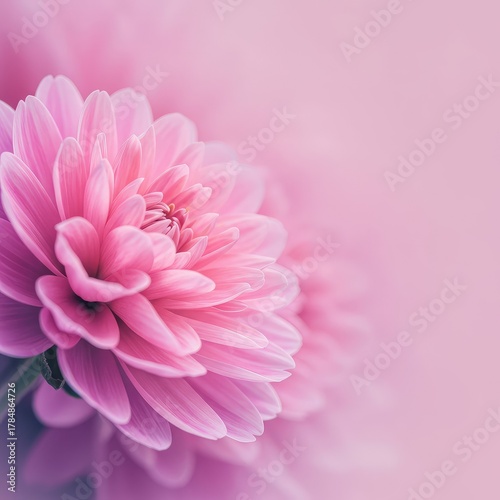 Gentle pastel pink and purple hues creating a soft floral texture perfect for spring designs or romantic event announcements ,pattern ,space ,haze