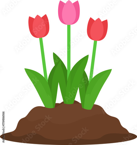 Three vibrant tulips, two red and one pink, emerge from rich brown soil with lush green leaves, symbolizing spring growth and natural beauty.