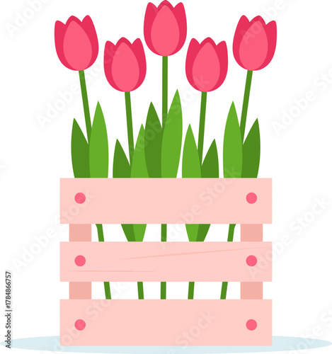 A charming vector illustration of five pink tulips with green leaves growing inside a light pink wooden crate.