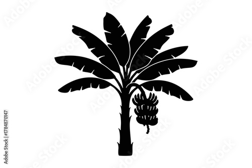 Banana Tree Silhouette isolated on a white background