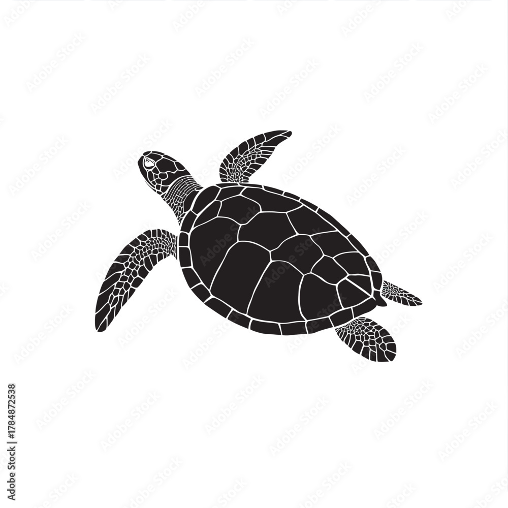 Fototapeta premium Sea turtle swimming in clear ocean water with coral 