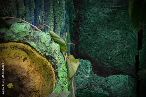 Detailed bluish-green texture with protruding, irregular shapes, resembling old, weathered, or eroded carving.