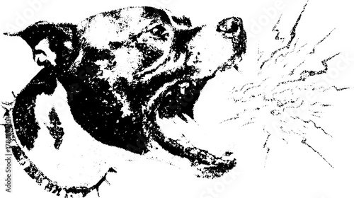 Pitbull dog head roaring in a bold monochrome vector illustration. Fierce and aggressive expression with a detailed texture and outline.