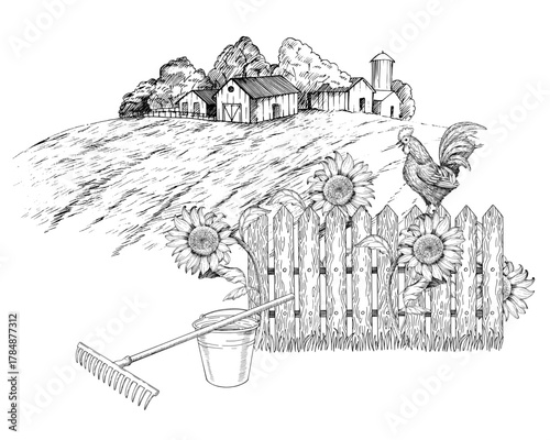 Composition of fence, sunflowers and rooster on a landscape background. Vector ink styled handmade illustration. For packaging design, cards, cover, prints, product labels and fabric.