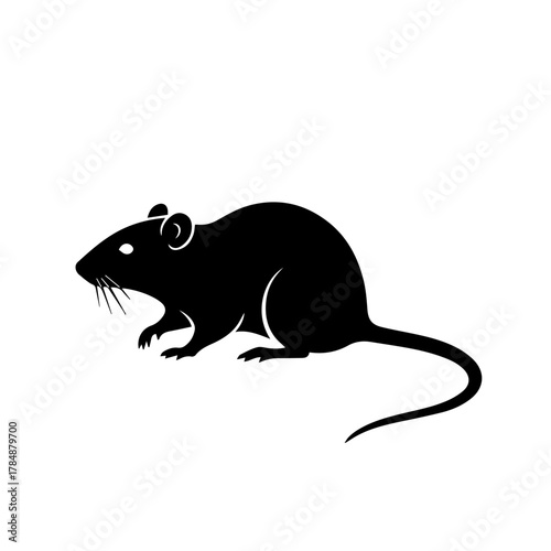 A black silhouette of a rat with its tail curled, set against a white background.
