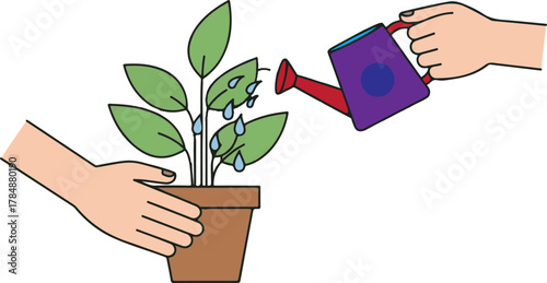 Hands carefully watering a potted plant with a watering can for growth and care