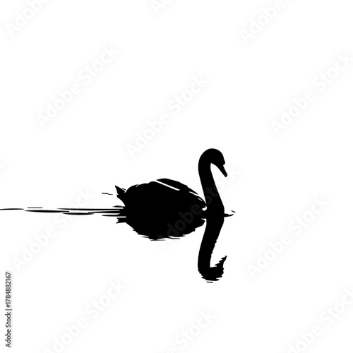 A striking silhouette of a black swan floating serenely on calm, reflective water.