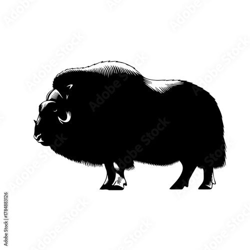 A powerful black and white illustration of a muskox standing in profile, showcasing its thick shaggy coat and curved horns.