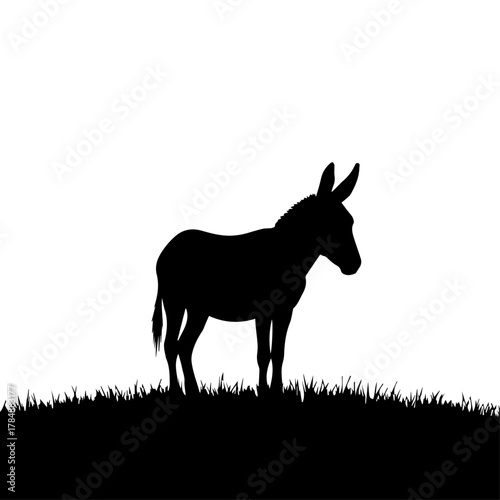 A silhouette of a donkey standing in a grassy field against a white background.