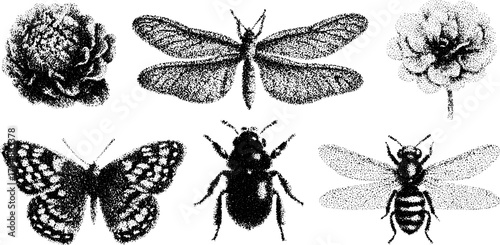 Vintage hand-drawn vector illustration of a set featuring flowers and insects, including butterflies, a beetle, and a bee, enhancing decorative elements.