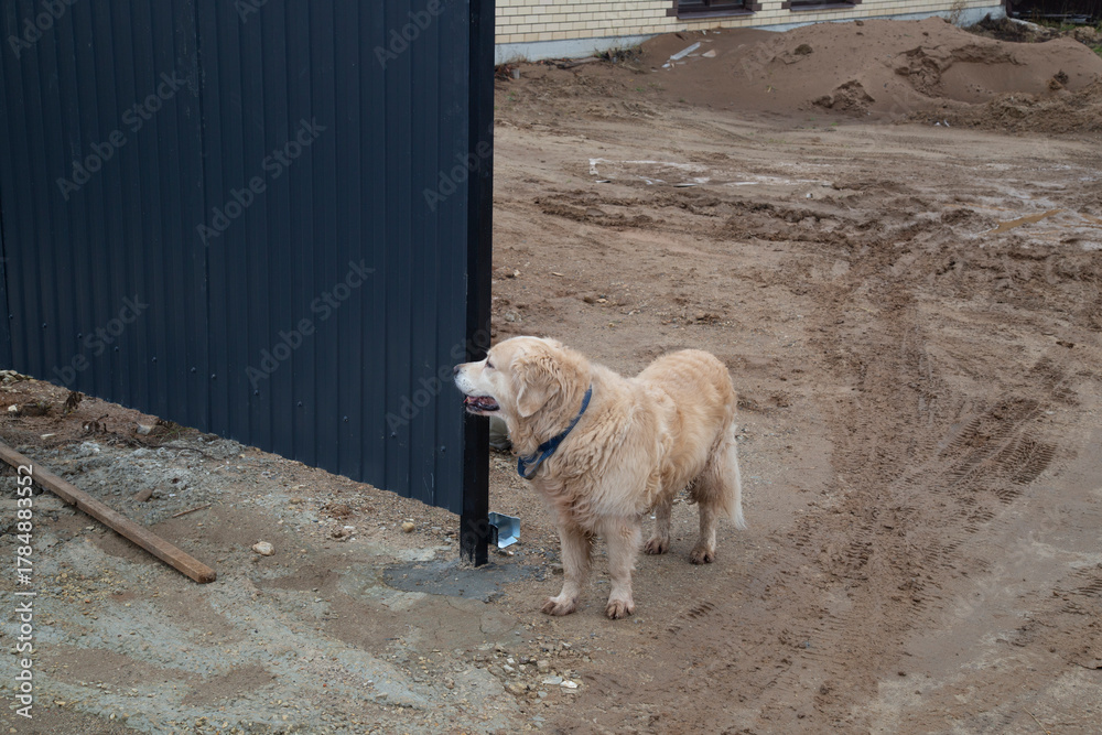 Obraz premium Installation of a fence around the house. Posts made of iron.