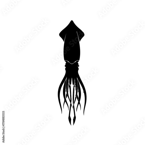 Silhouette of a squid with tentacles, isolated on white background.