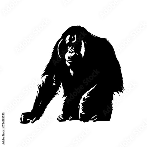 Silhouette of an orangutan sitting, showcasing detailed fur and facial features, isolated on white background.