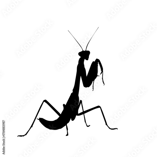 A striking black silhouette of a praying mantis insect against a plain white background.