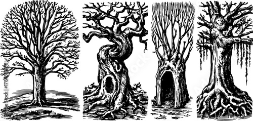 Engraved trees presented in a silhouette style. The set includes detailed hand-drawn vector illustrations of various tree shapes.