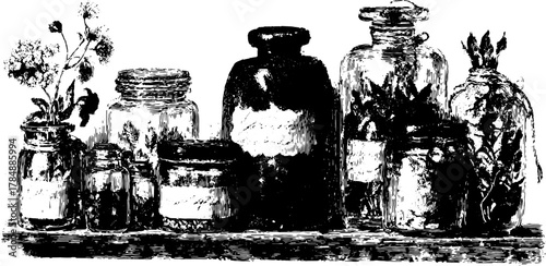 Vintage engraving of jars filled with herbs on a shelf. Detailed outline vector illustration featuring botanical elements in black and white.