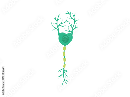 Purkinje Neuron Cell Clip Art