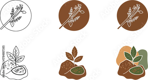 Organic natural ingredients and botanical elements in a minimalist abstract design.