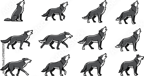 Wolf howling sequence, cartoon animal illustration, motion pose vector, gray fur sketch, wilderness behavior artwork, animation frame design.eps