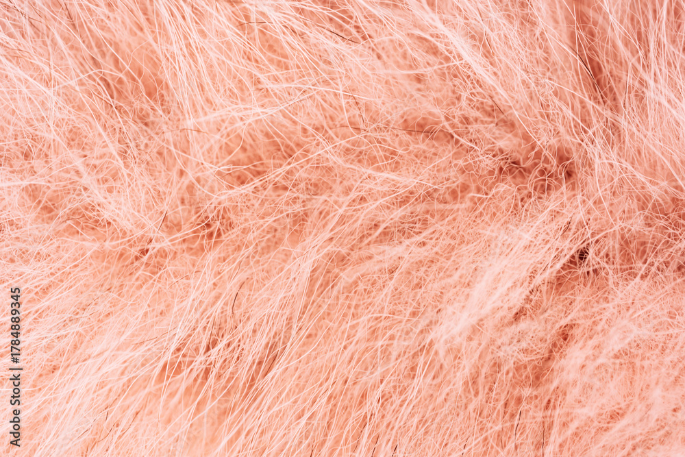 Obraz premium Warm coral pink fluffy faux fur abstract backdrop. High quality photo