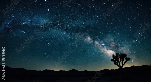 Fototapeta Naklejka Na Ścianę i Meble -  Cosmic view of the Milky Way galaxy at night. Solitary Joshua tree silhouette in a desert wilderness. Astrophotography for astronomy and science. Concept of space exploration