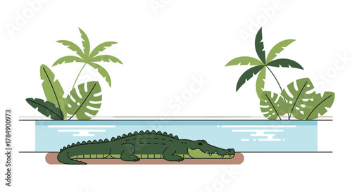 tropical island vector illustration