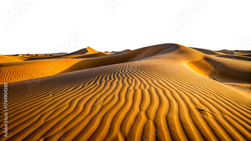 Fototapeta Naklejka Na Ścianę i Meble -  sahara desert morocco