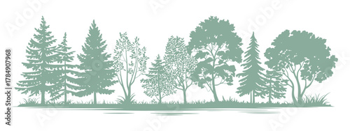 Minimal Tree CAD Line Drawing – Side-View Wetland Forest Outline for Landscape Design, Architectural Plans, Forestry and Vector Sketch Illustration