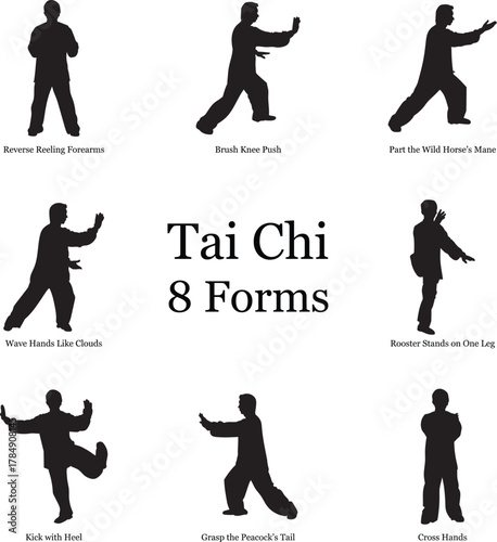 Tai chi 8 forms, exercises, yoga, playing, sports, silhouette, vector, people, sport, illustration