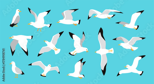Seagulls. Flying sea bird in sky, seagull in various poses. Cartoon cute seabird flight. Vector isolated set