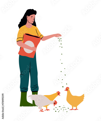 Girl feed chicken grain. Rural scene, woman and feeding hen. Agriculture and animal poultry farm. Countryside livestock life. Domestic birds. Vector cartoon flat style isolated illustration