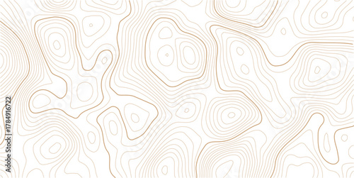 Topographic Contour Art in the Style of Classic Surveyor Maps with Rustic Linework, Organic Earth Tones, and a Strong Connection to Natural Geography. Vector  Illustration