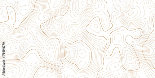 Topographic Contour Art in the Style of Classic Surveyor Maps with Rustic Linework, Organic Earth Tones, and a Strong Connection to Natural Geography. Vector  Illustration