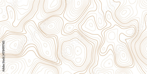 Topographic Contour Art in the Style of Classic Surveyor Maps with Rustic Linework, Organic Earth Tones, and a Strong Connection to Natural Geography. white background topo.